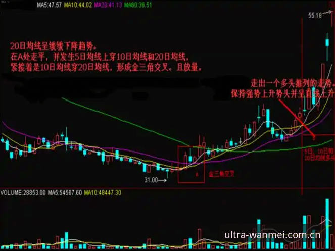 完美体育数据准确吗？使用指南深度解析数据可靠性与实战技巧